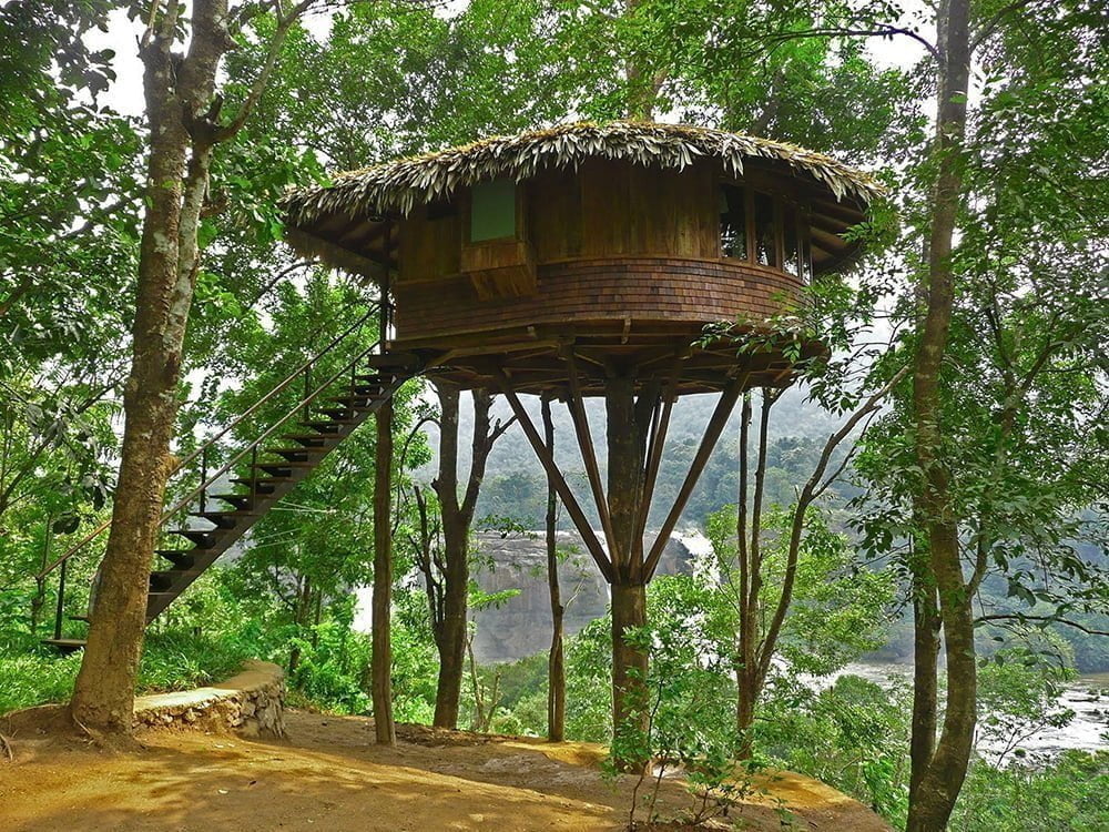 Jungle Tiny Treehouse