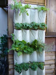 Best Creative Garden Container Ideas And Designs For