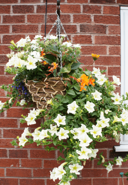 Best Outdoor Hanging Planter Ideas And Designs