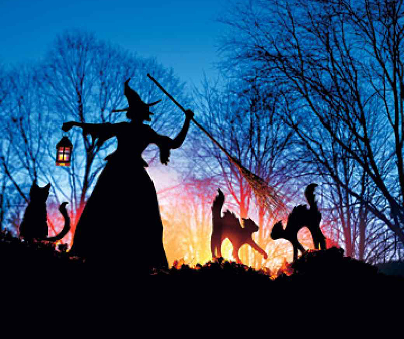 Witch and Cat Halloween Outdoor Decoration