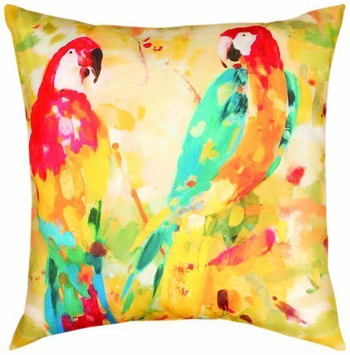 Throw Pillow Ideas