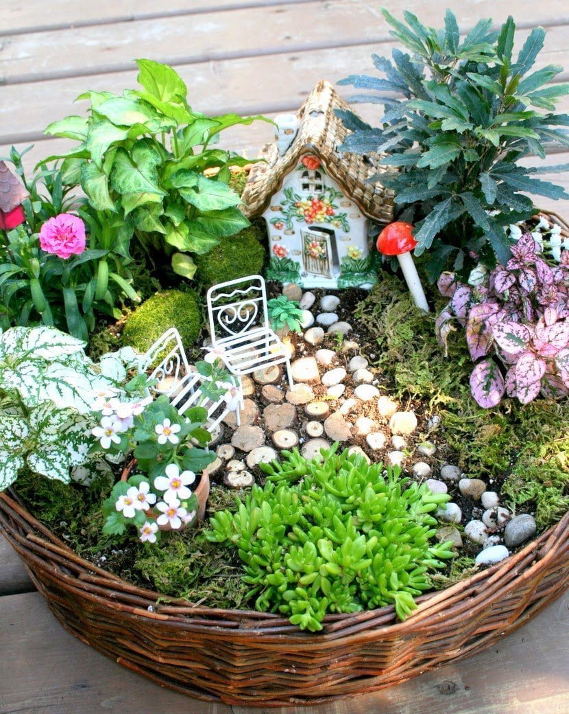 mini garden diy