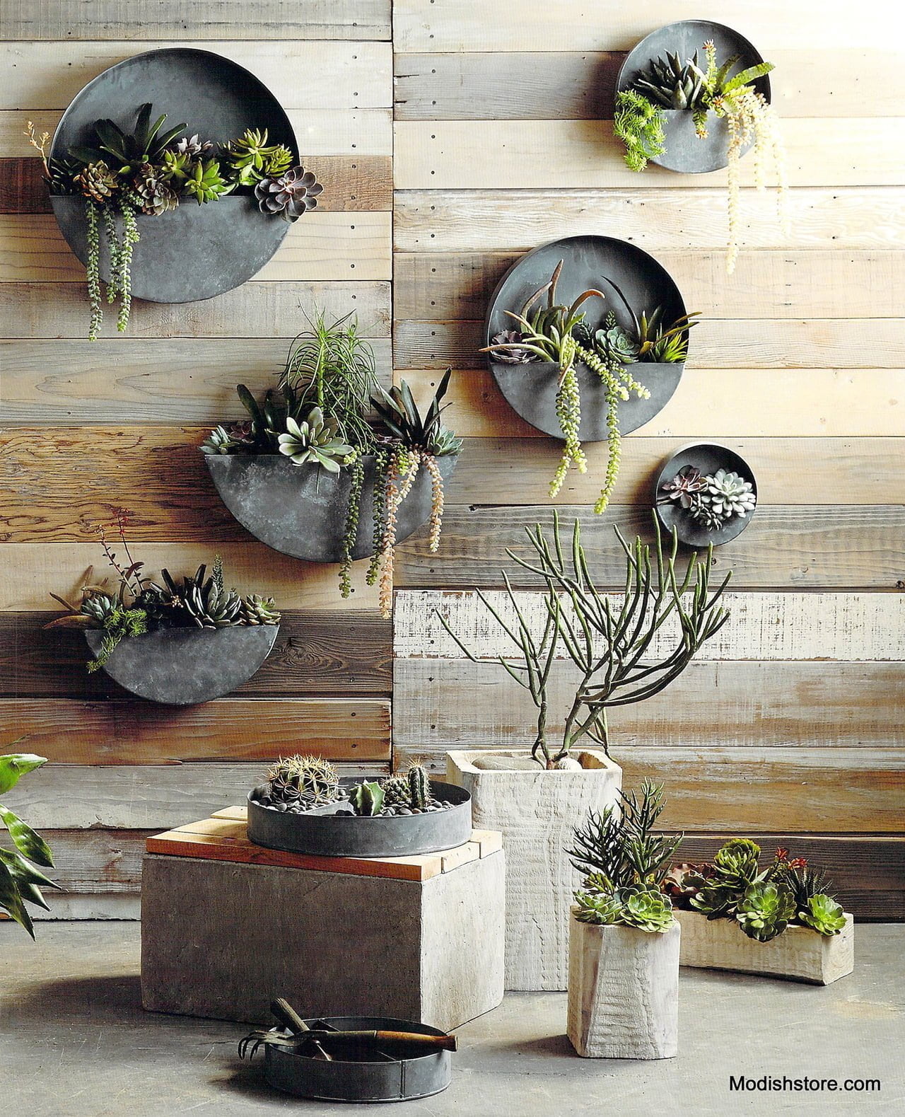 Muted Round Zinc Planters Allow Plants to Shine