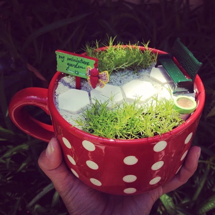 Fairy Garden Ideas: My Favorite cup of tea fairy garden ideas