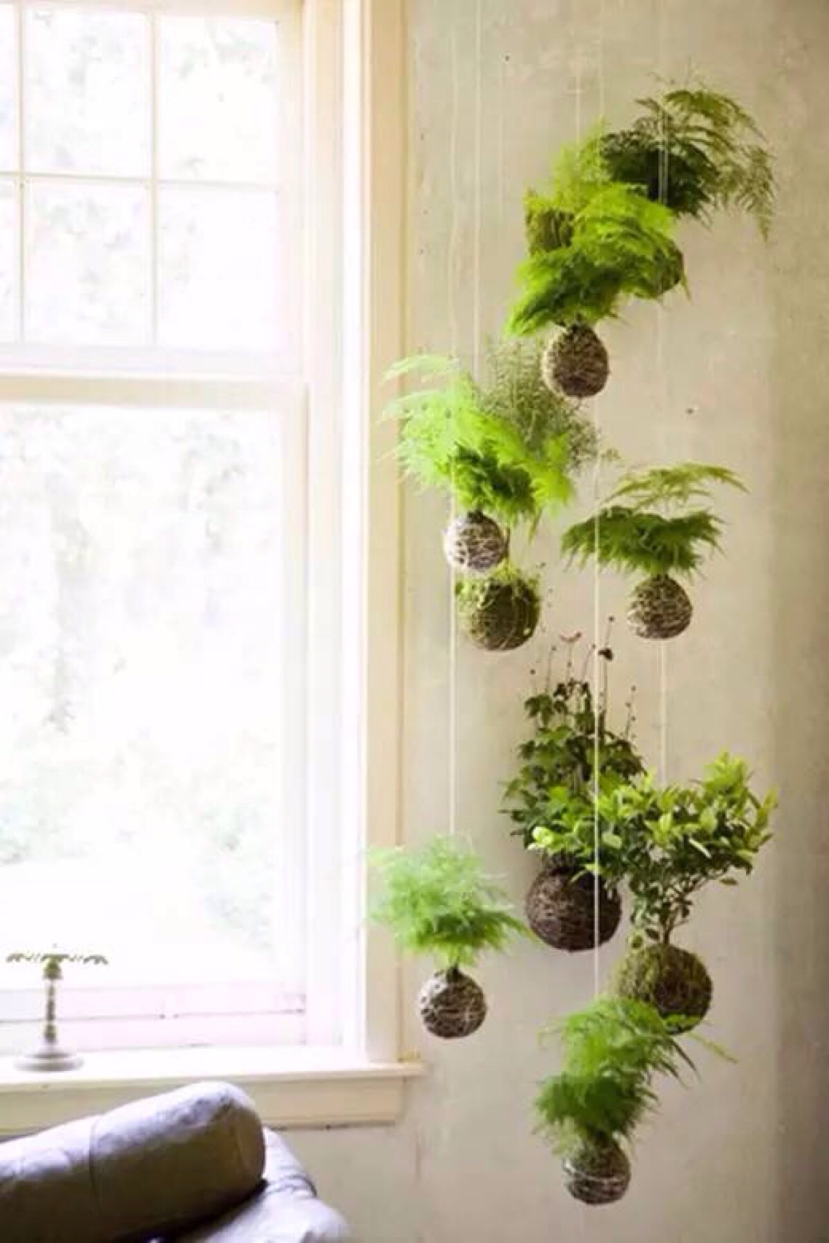 The 50 Best Vertical Garden Ideas and Designs for 2019 on Vertical Landscape Design
 id=52271