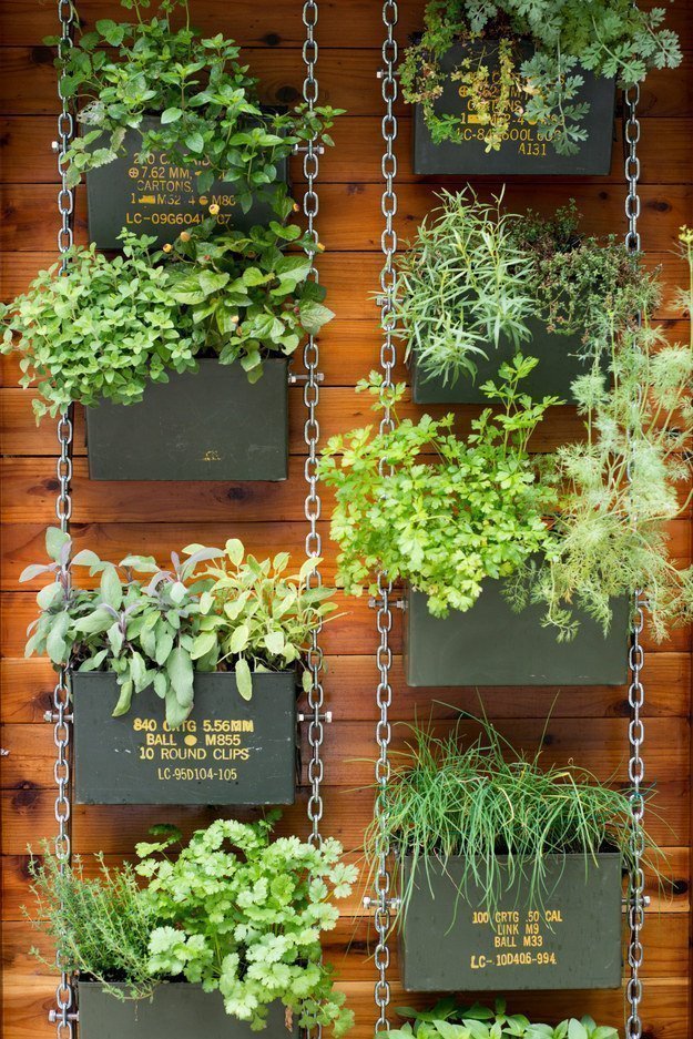 The 50 Best Vertical Garden Ideas and Designs for 2019