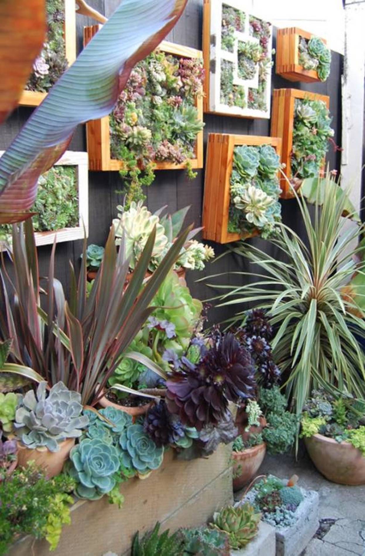 The 50 Best Vertical Garden Ideas and Designs for 2019 on Vertical Landscape Design
 id=81751