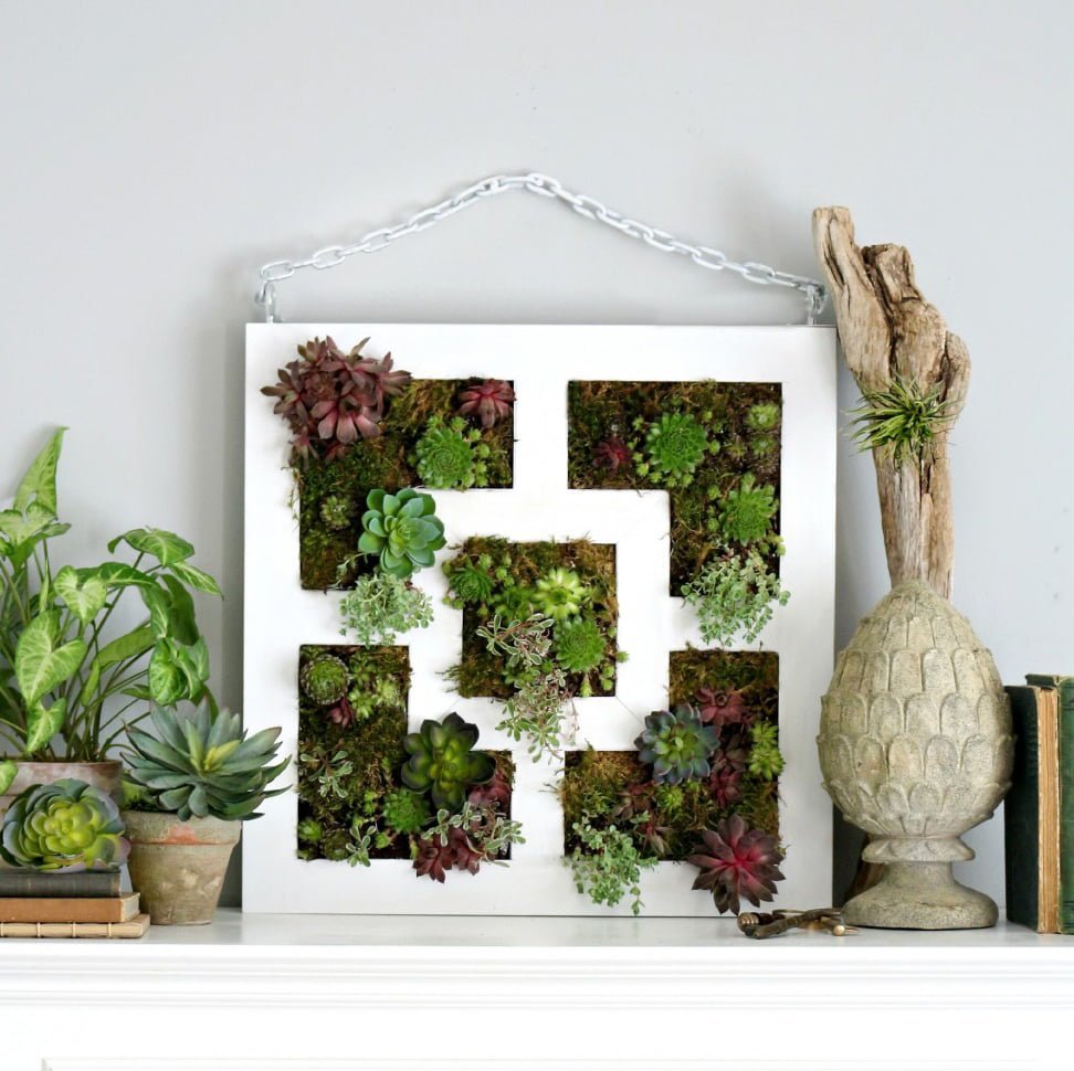 No Space is too Small for a Vertical Garden