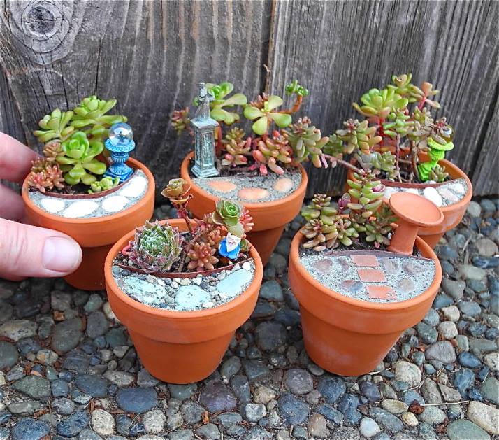 Fairy Garden Ideas: A real mini garden diy mini