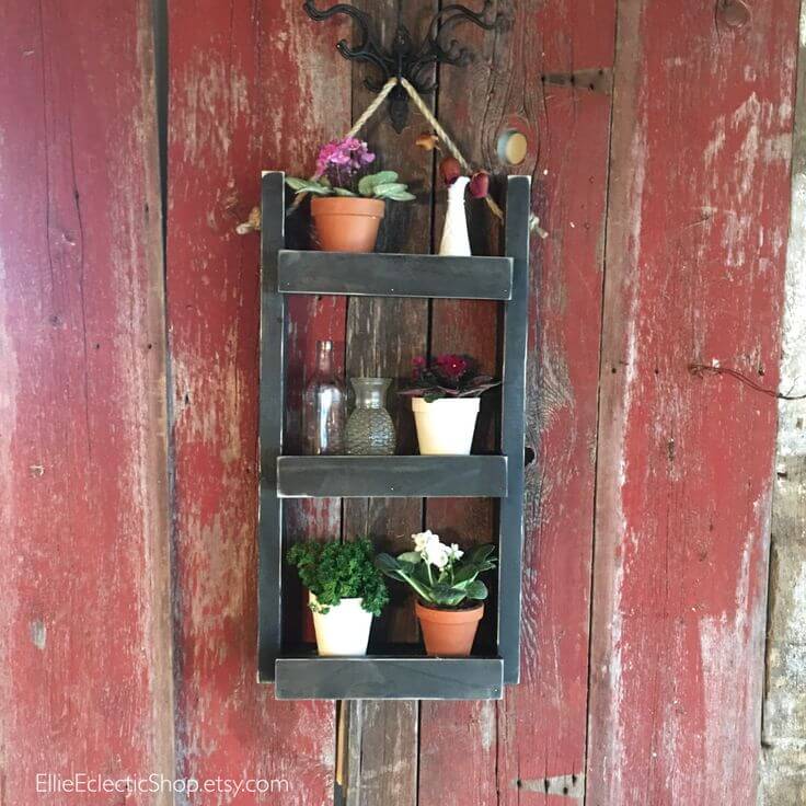 Hang a Garden on the Wall