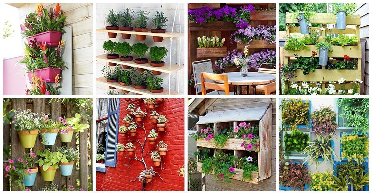 The 50 Best Vertical Garden Ideas And Designs For 2021