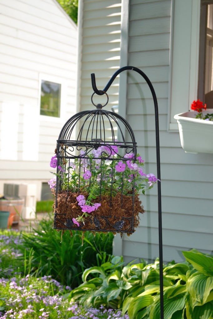 birdcage planters garden bird cage planter flowers something decoration plant plants metal gardens try simple looking inside planting ways homebnc
