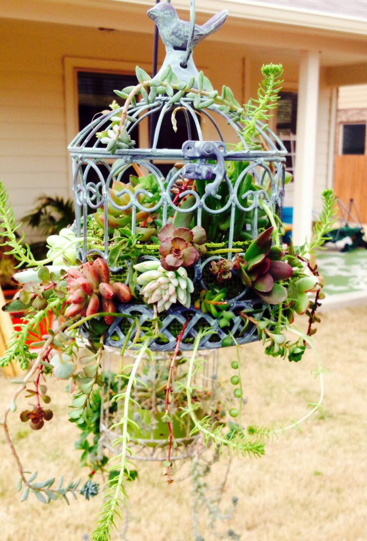 Birdcage Planters