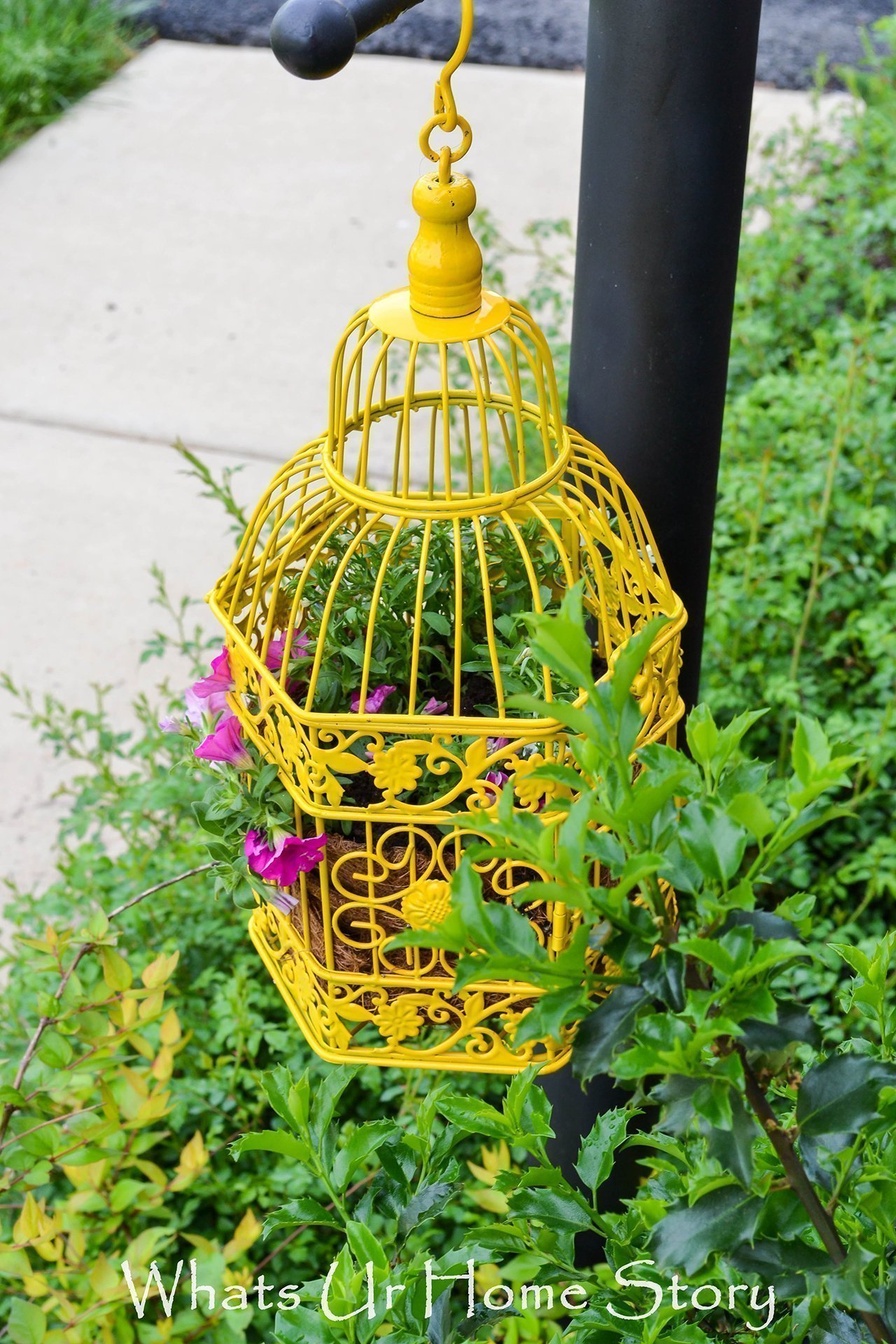 Birdcage Planters