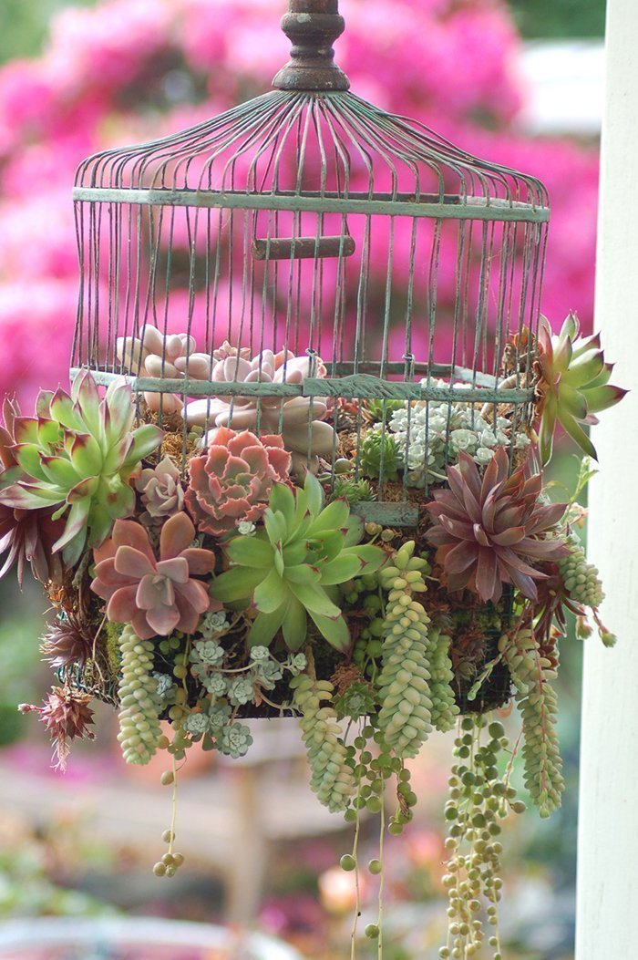 Birdcage Planters