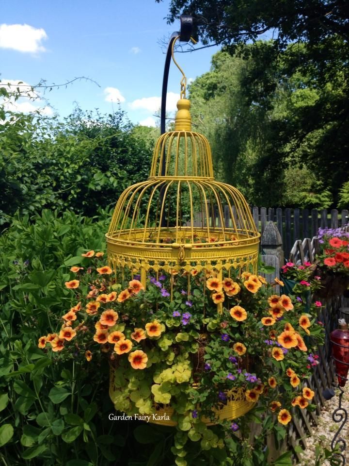 20 Best Decoration Ideas with Birdcage planters in 2019