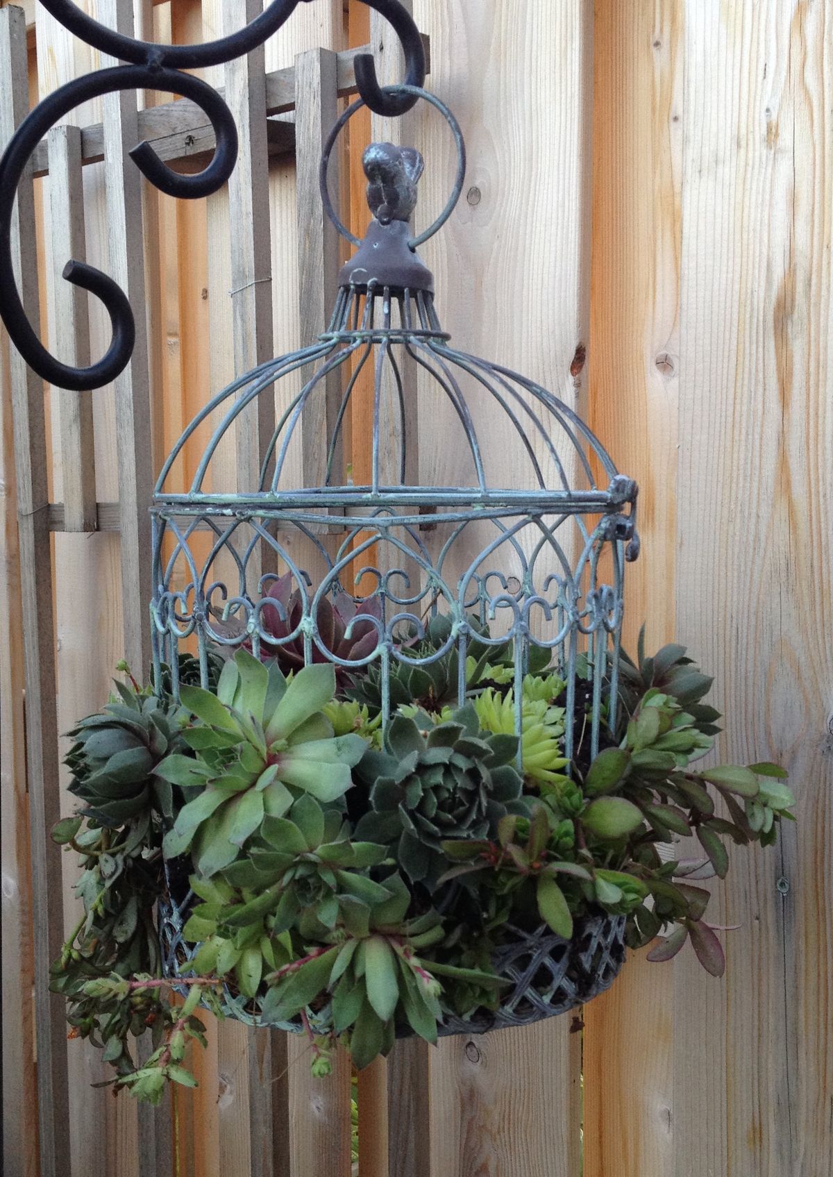 Birdcage Planters