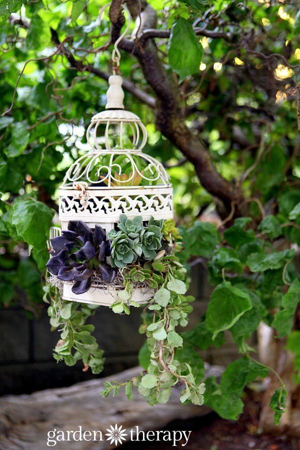 Birdcage Planters