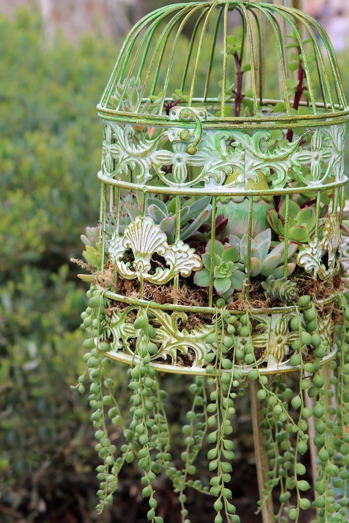 Birdcage Planters