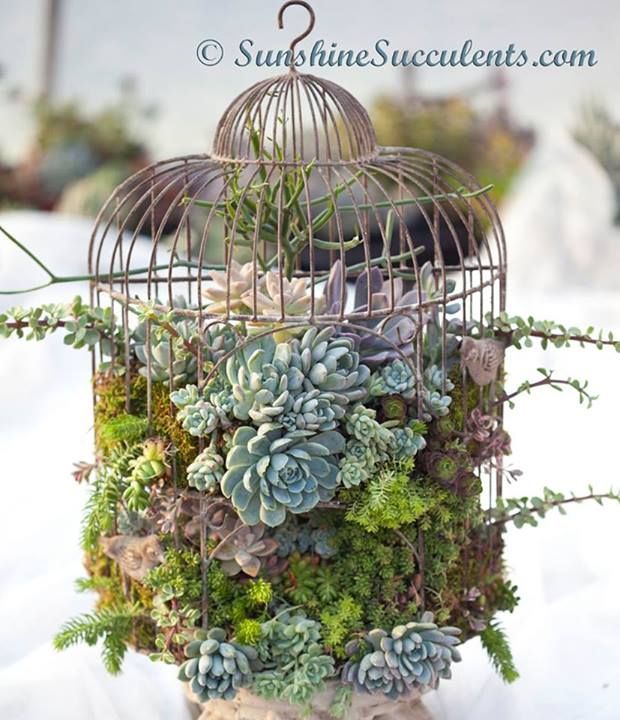 Birdcage Planters