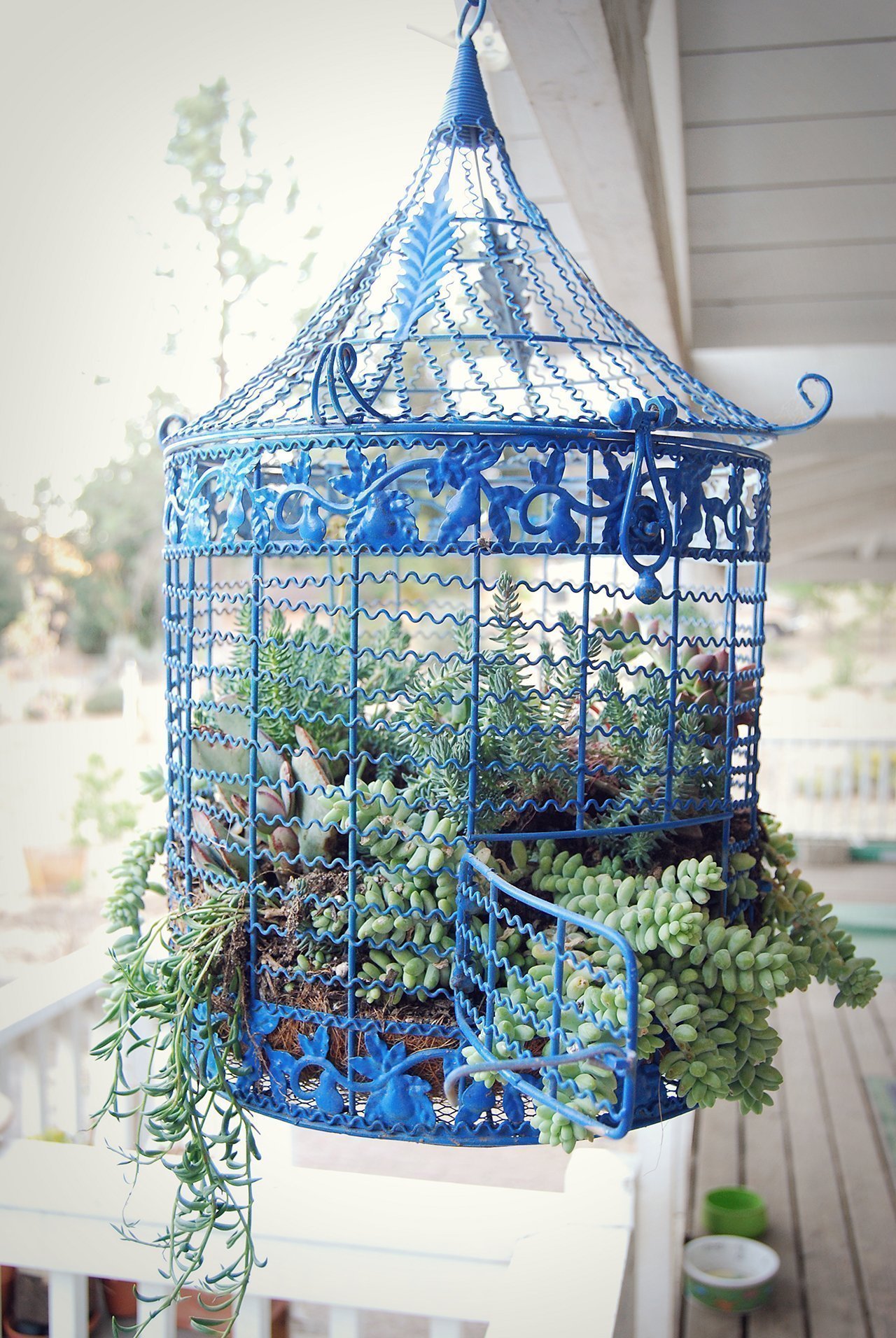 Birdcage Planters