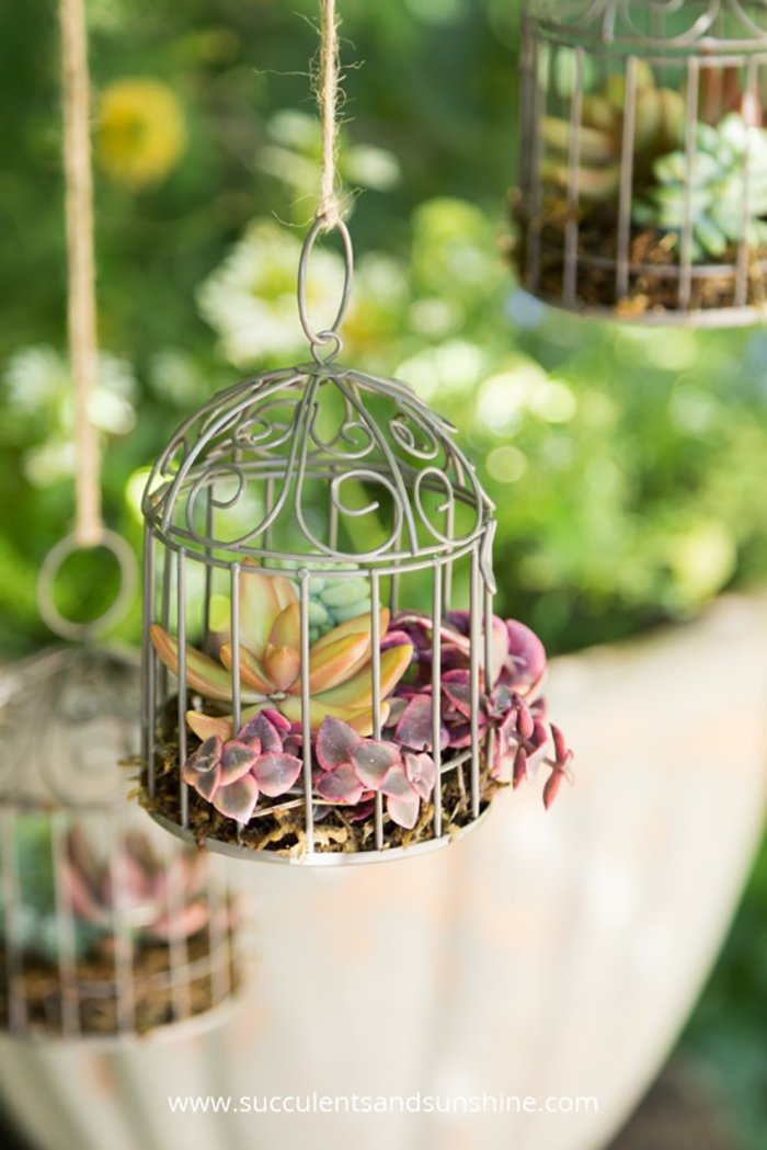 Birdcage Planters