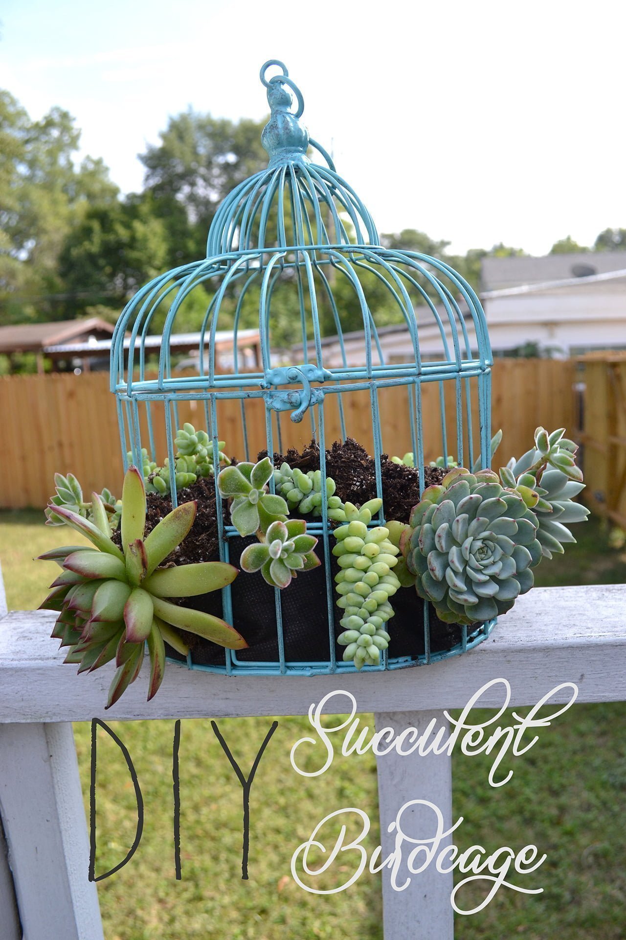 Birdcage planter ideas information