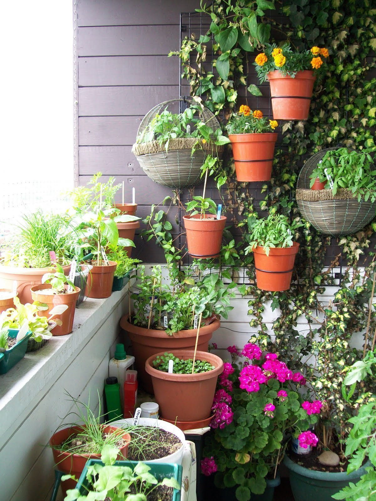 50 Best Balcony Garden Ideas and Designs for 2017