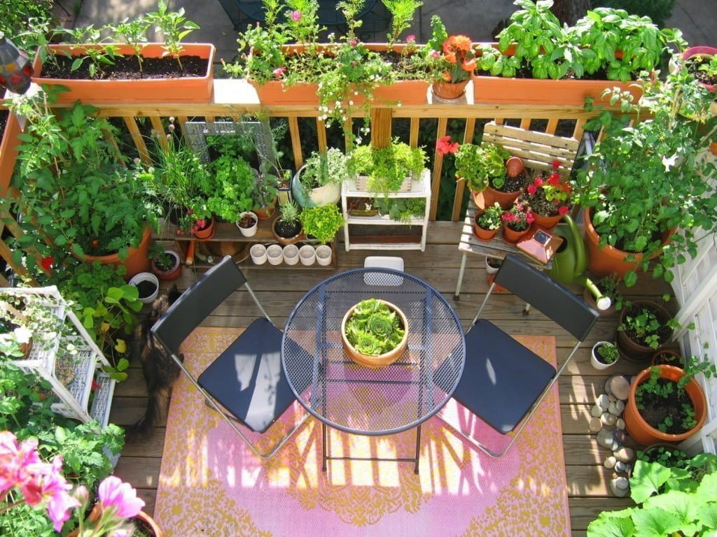 Dinner Garden