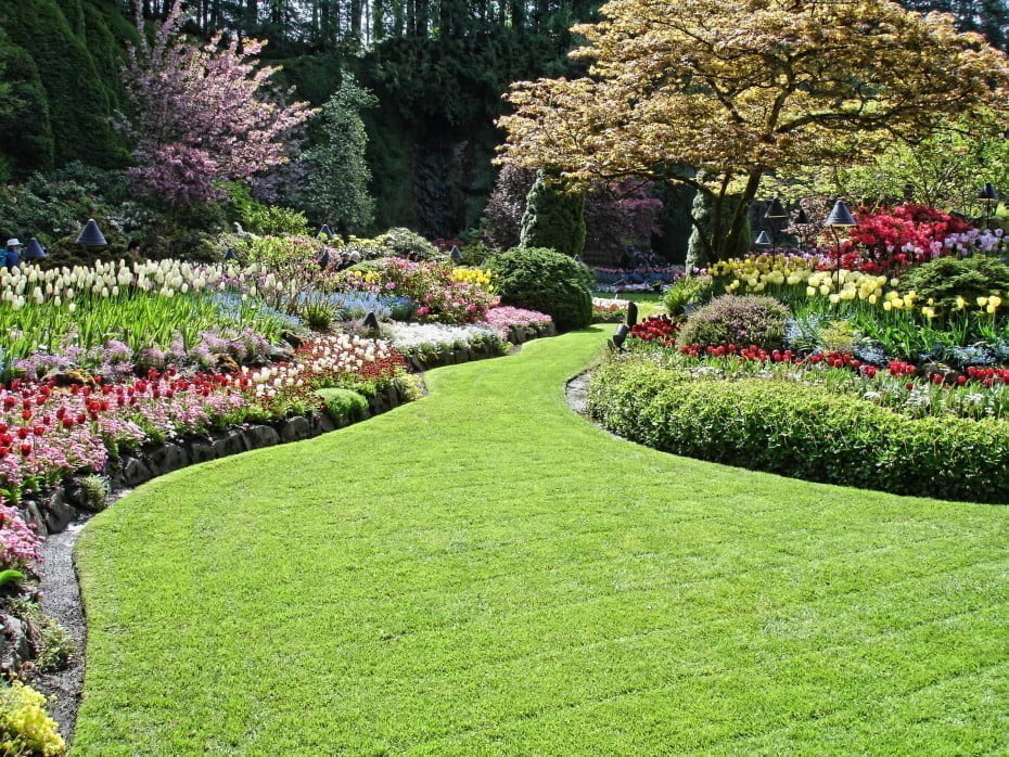 best landscape design company