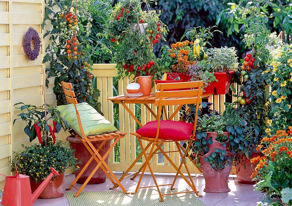 50 Best Balcony Garden Ideas and Designs for 2022