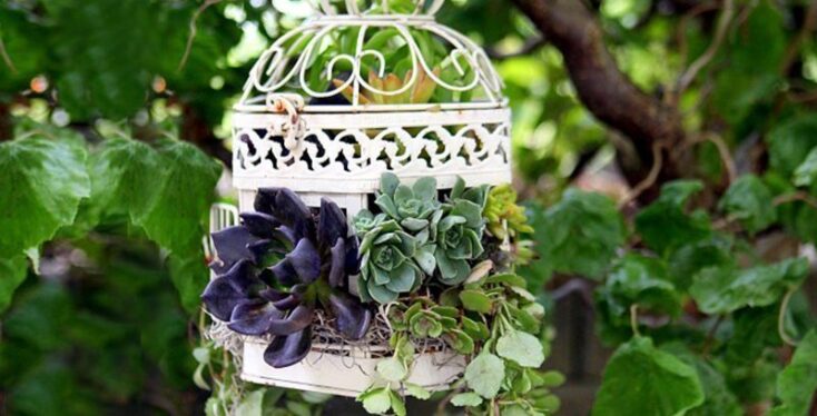 Featured image for 25+ Clever Ways to Make Your Garden Even More Beautiful with Birdcage Planters