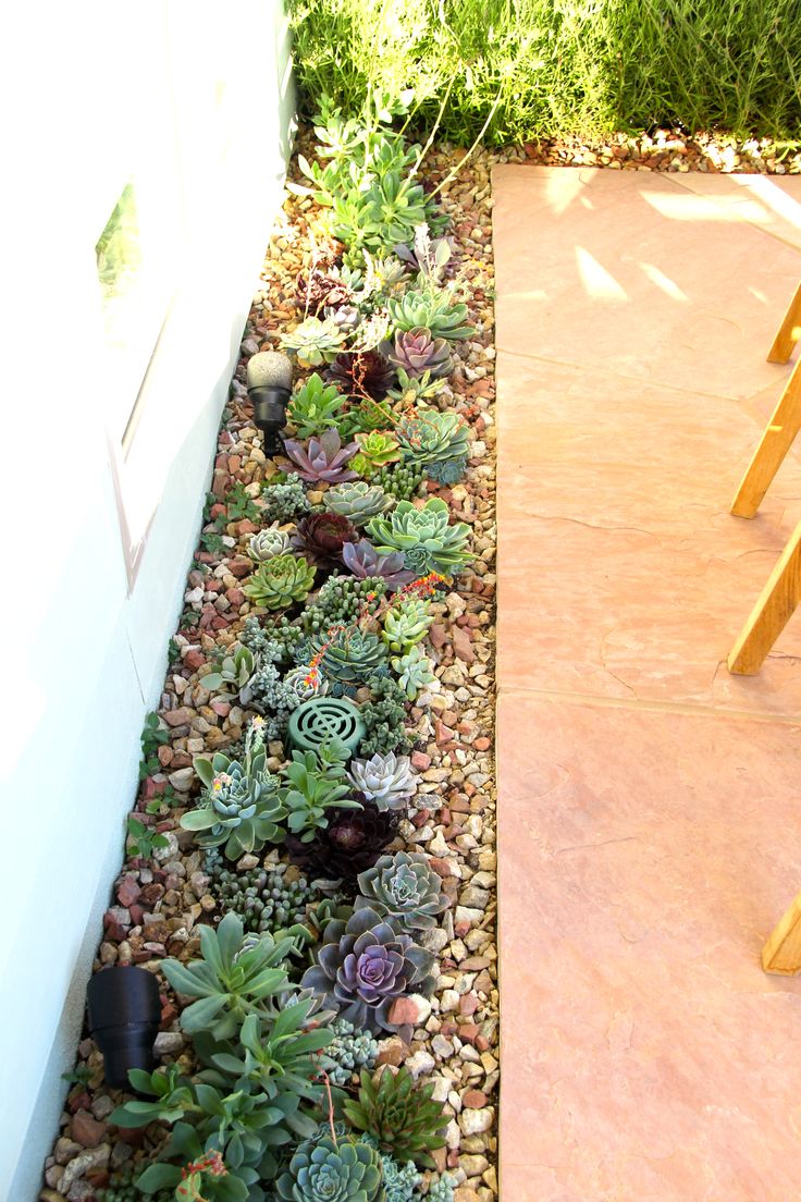 landscaping ideas succulents