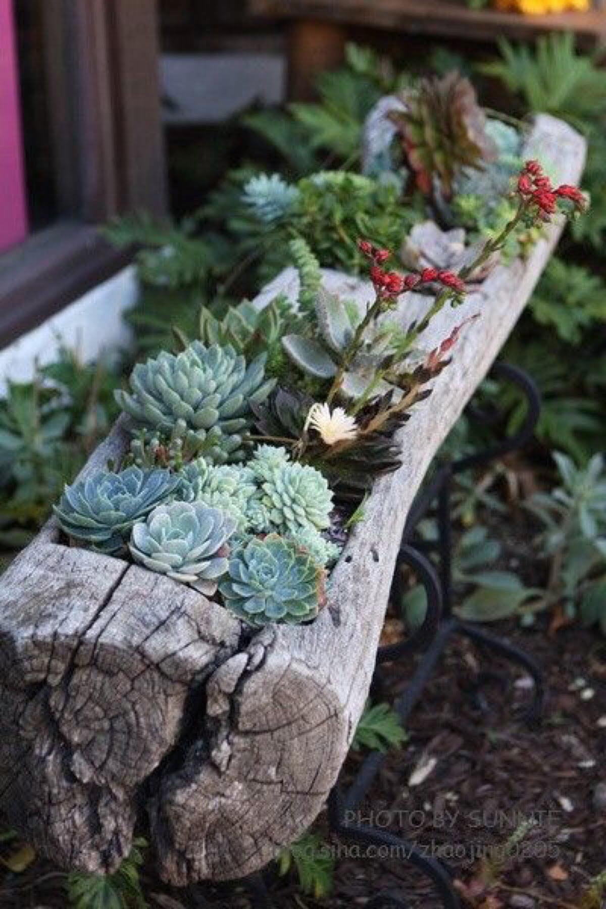 By The Old Water Trough