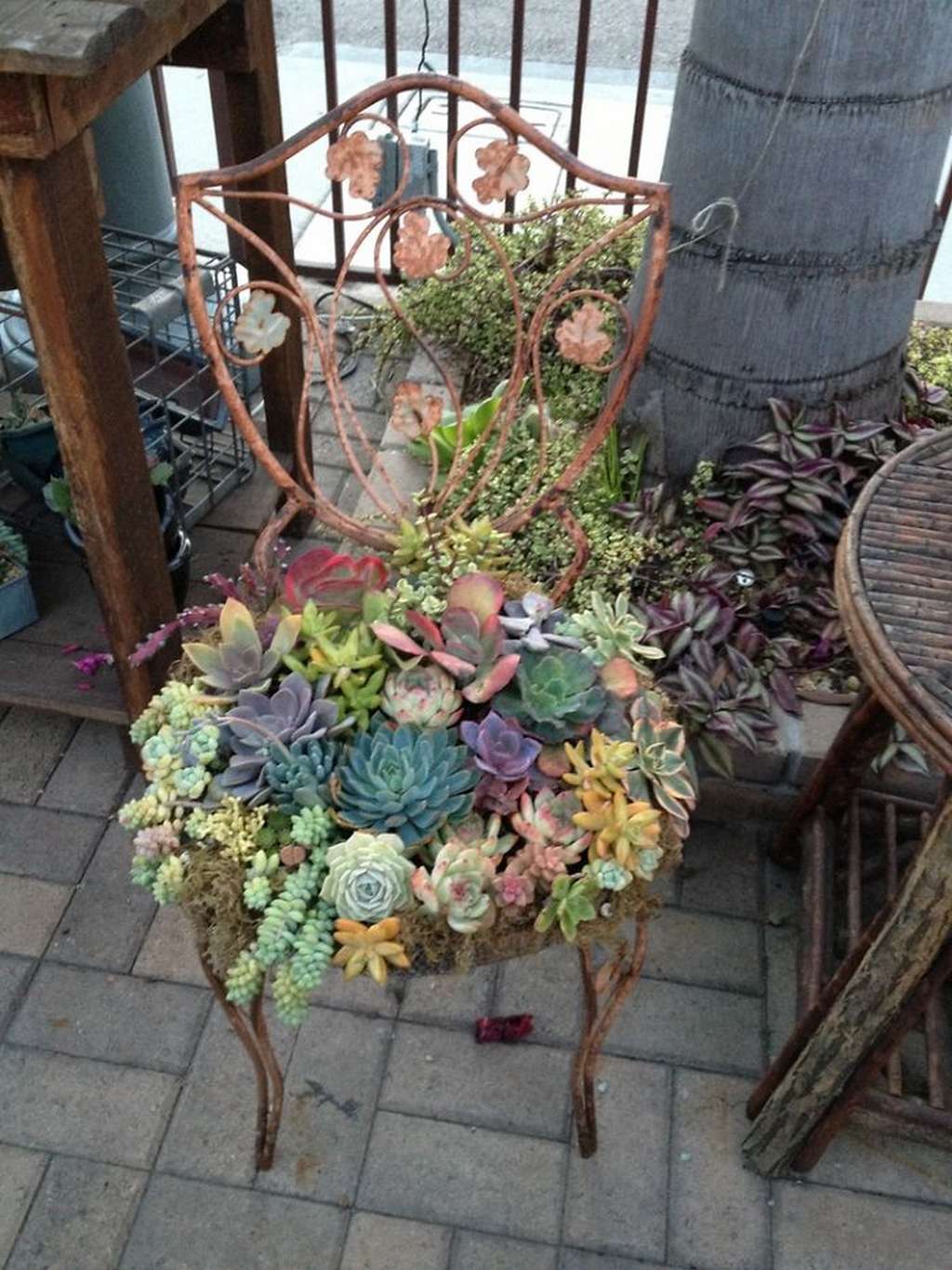 50 Best Succulent Garden Ideas for 2020