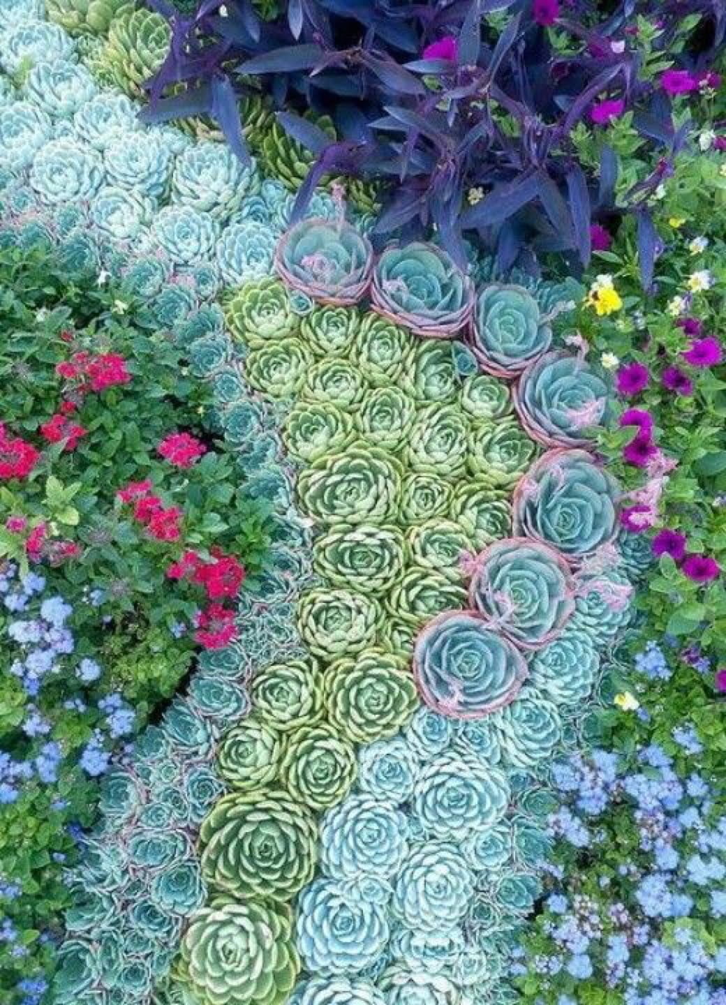 50 Best Succulent Garden Ideas For 2022 6483