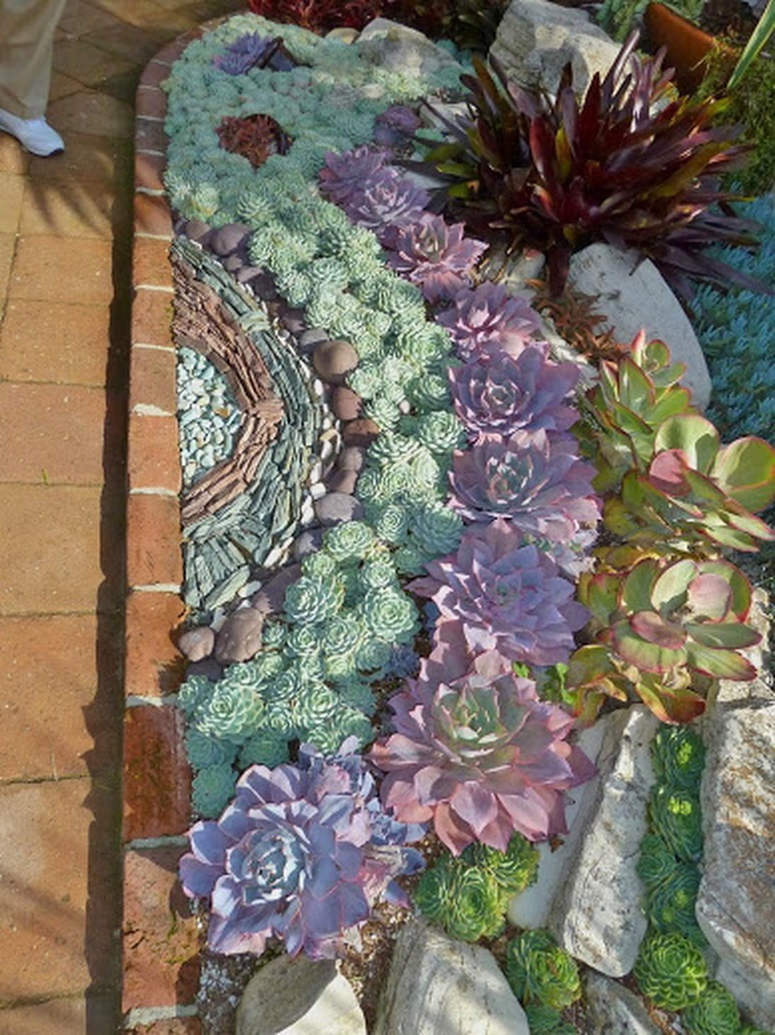 succulent landscape design ideas