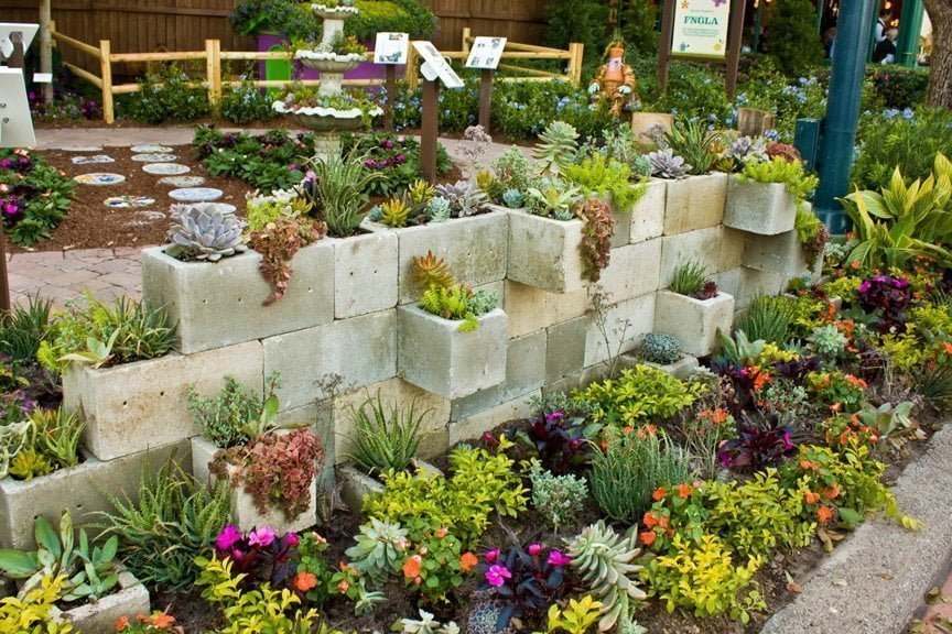 50 Best Succulent Garden Ideas for 2016