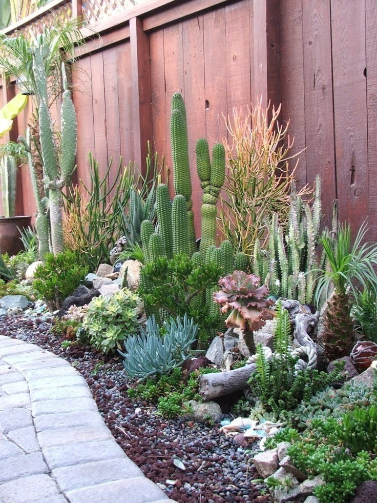 50 Best Succulent Garden Ideas For 2021, Cactus Landscape Ideas