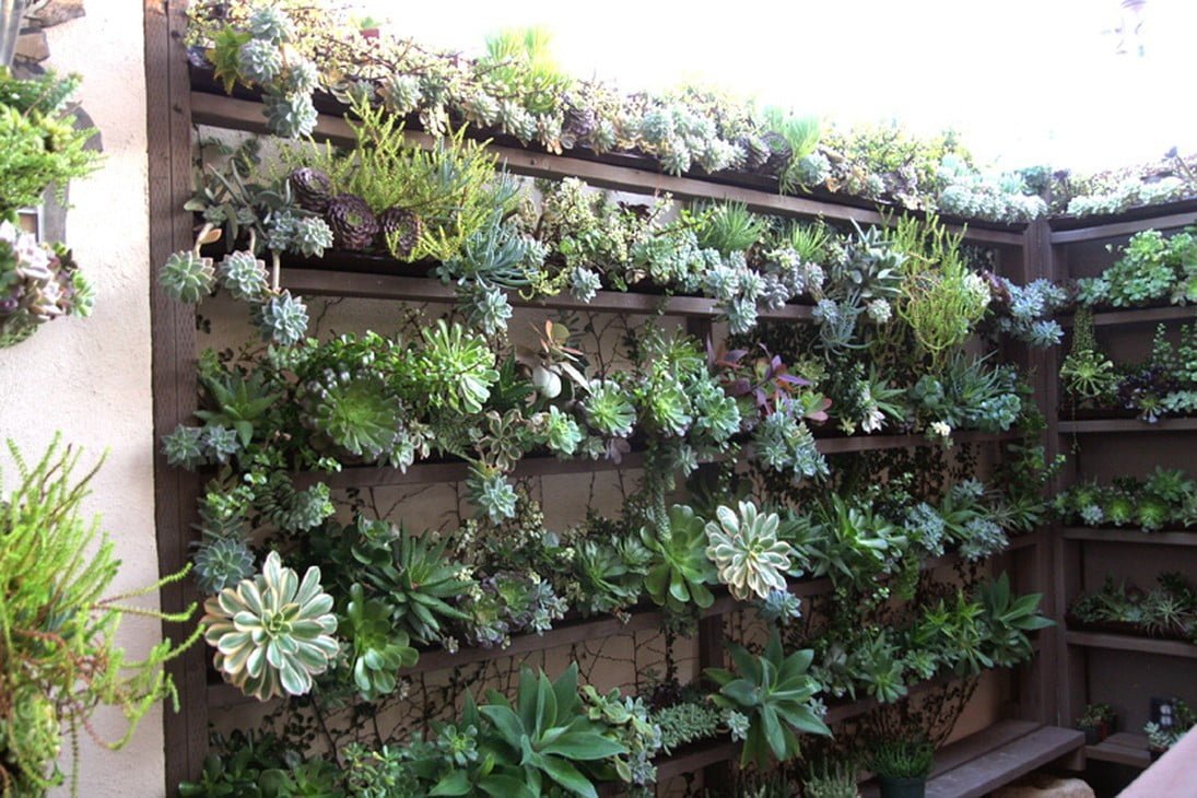 Vertical Succulent Garden Home Design Ideas And Pictures