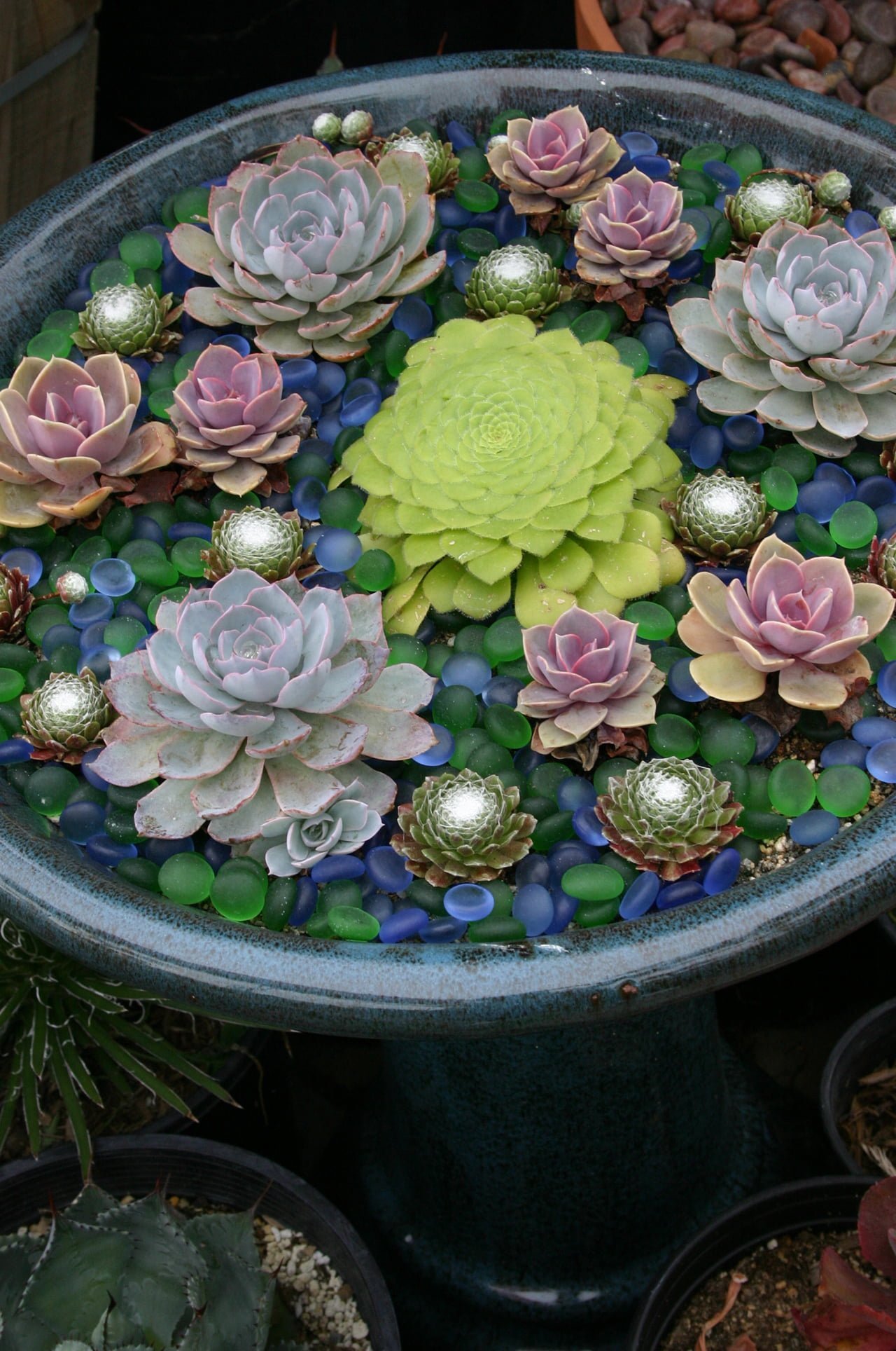 50 Best Succulent Garden Ideas For 2021 3384