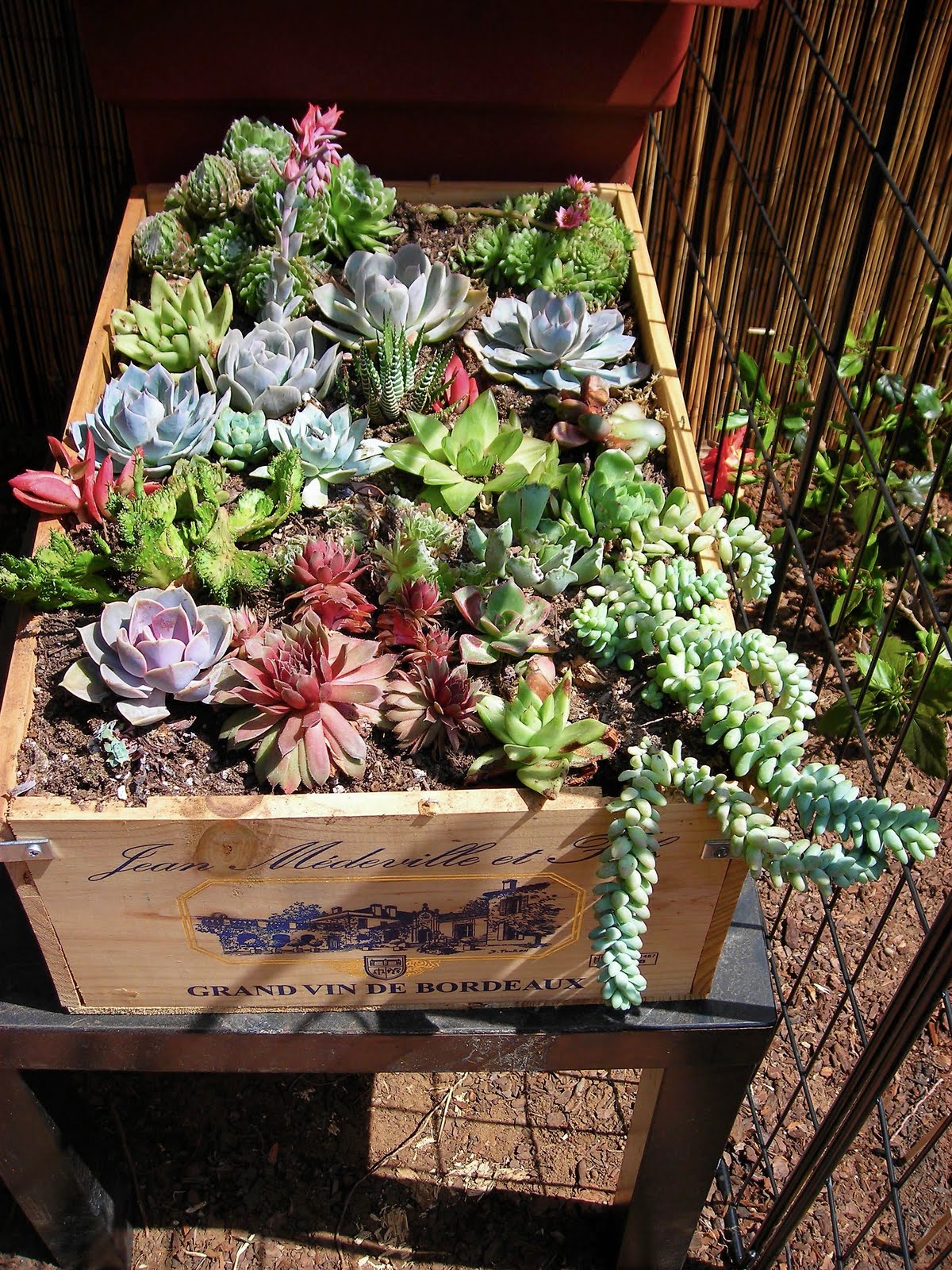 Out-Of-The Box Garden