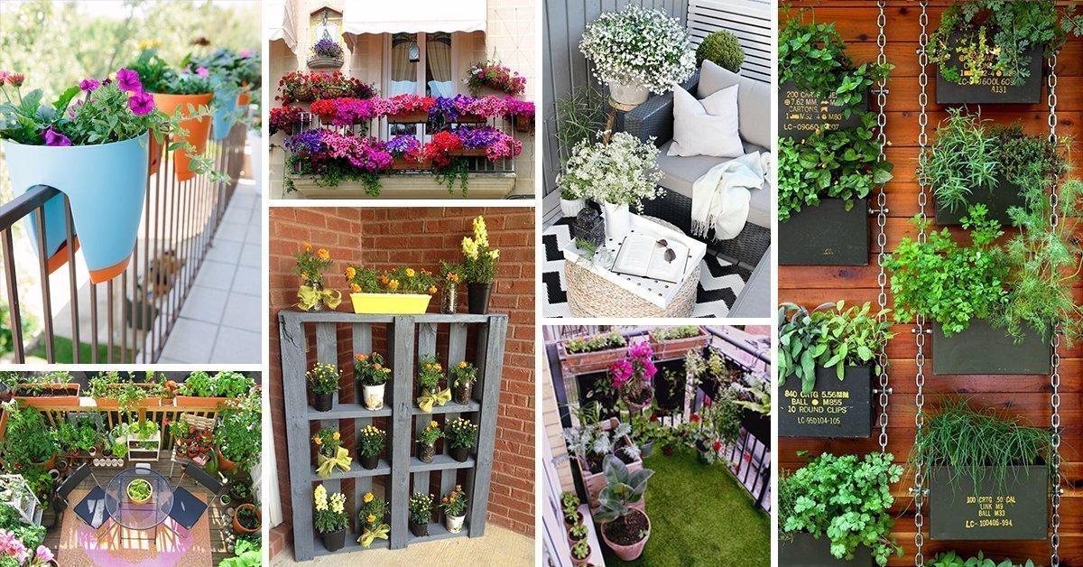 Balcony Garden Design For Home