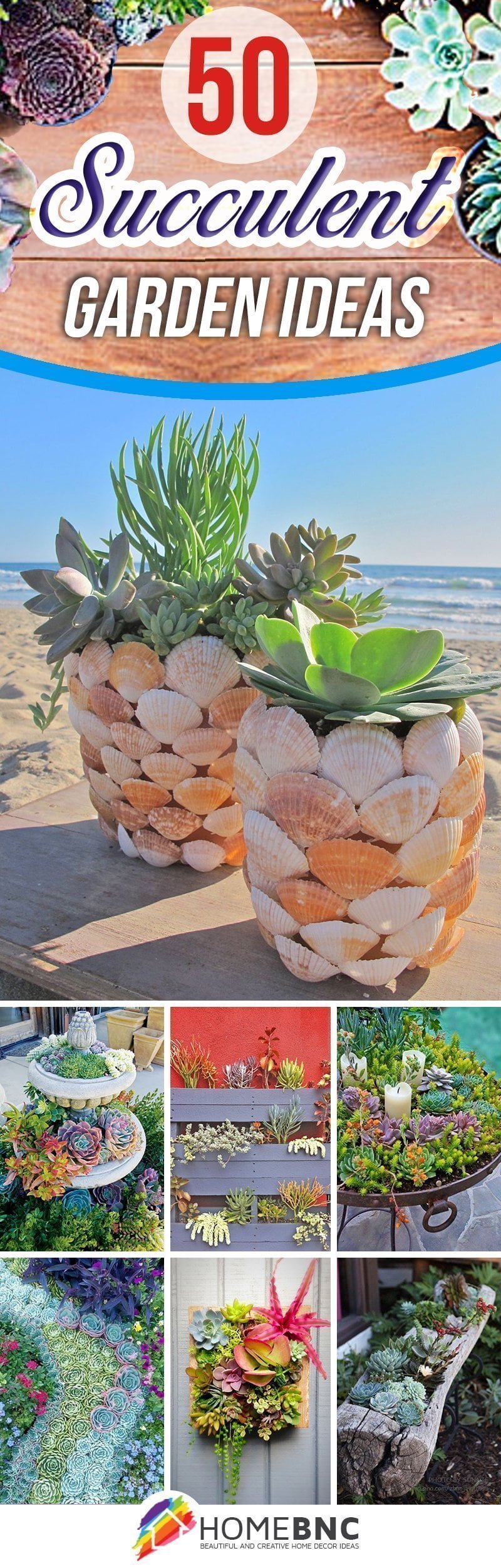 Best designs for succulent gardening