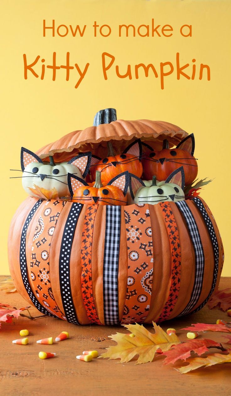 Kitties in a Gourd