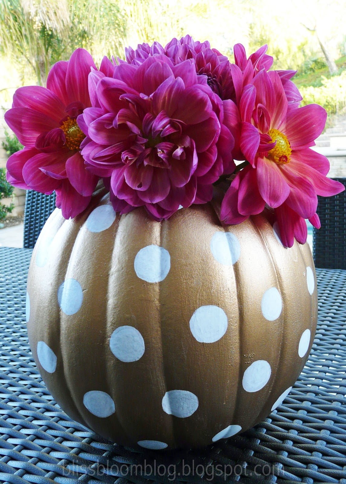 Polka Dot Bouquet