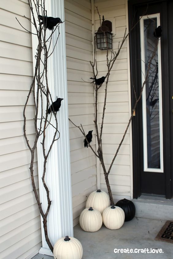 Black Ravens and White Pumpkins