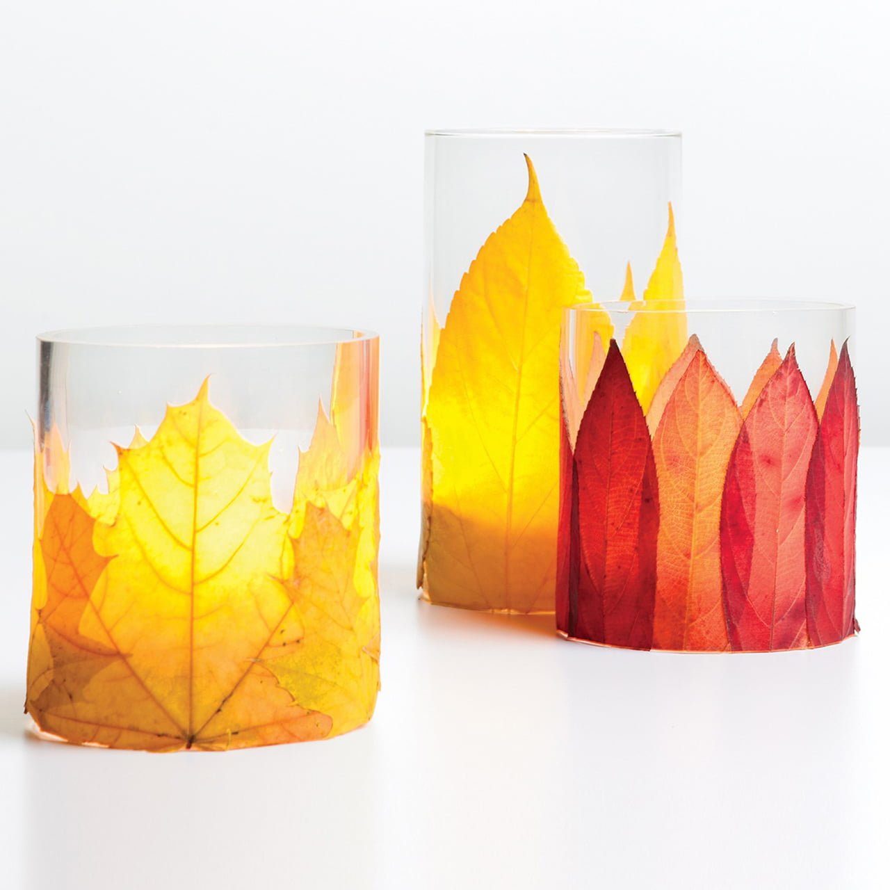 Simple and Graphic Fall Leaves