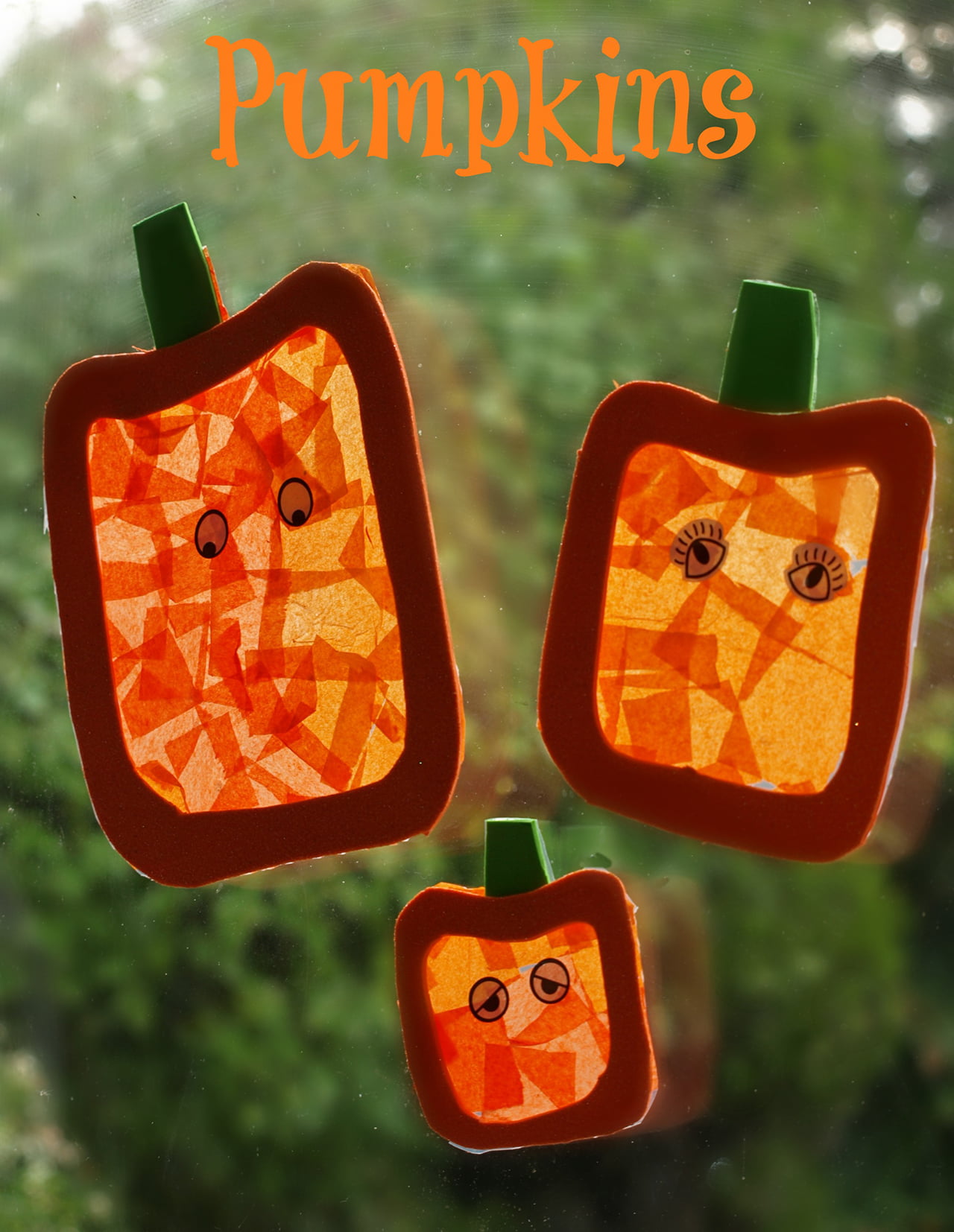 Perfect Pumpkins