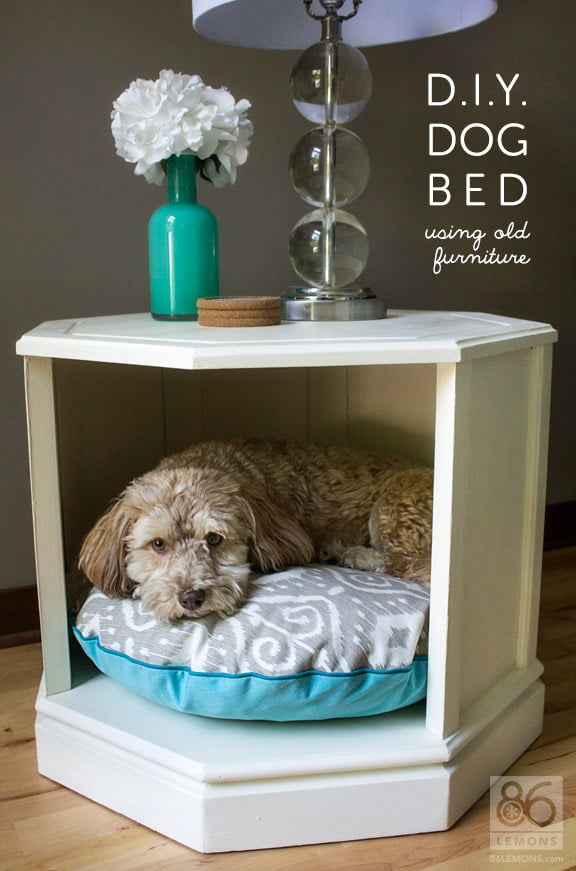 Simple dog hot sale bed